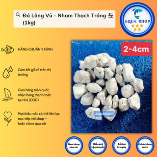 Đá Lông Vũ - Nham Thạch Trắng (1kg)