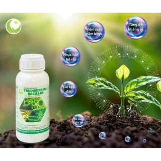 Men vi sinh Tricoderma 1kg (mật số 10^6) ủ phân chuồng, làm đệm lót, phun tưới cho cây khỏe xanh tươi tốt