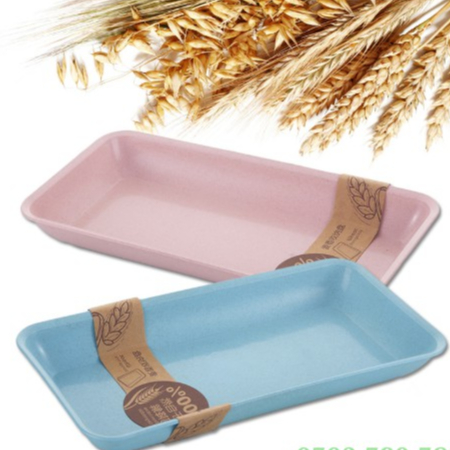 Dĩa nhựa lúa mạch chữ nhật Lớn (KT: 30 x 15 x 3.5 cm)