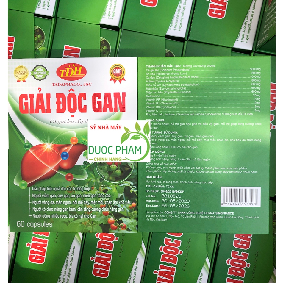 Viên uống Cà gai leo xạ đen giải độc gan, bổ gan, hạ men gan, tăng cường chức năng gan, bảo vệ gan