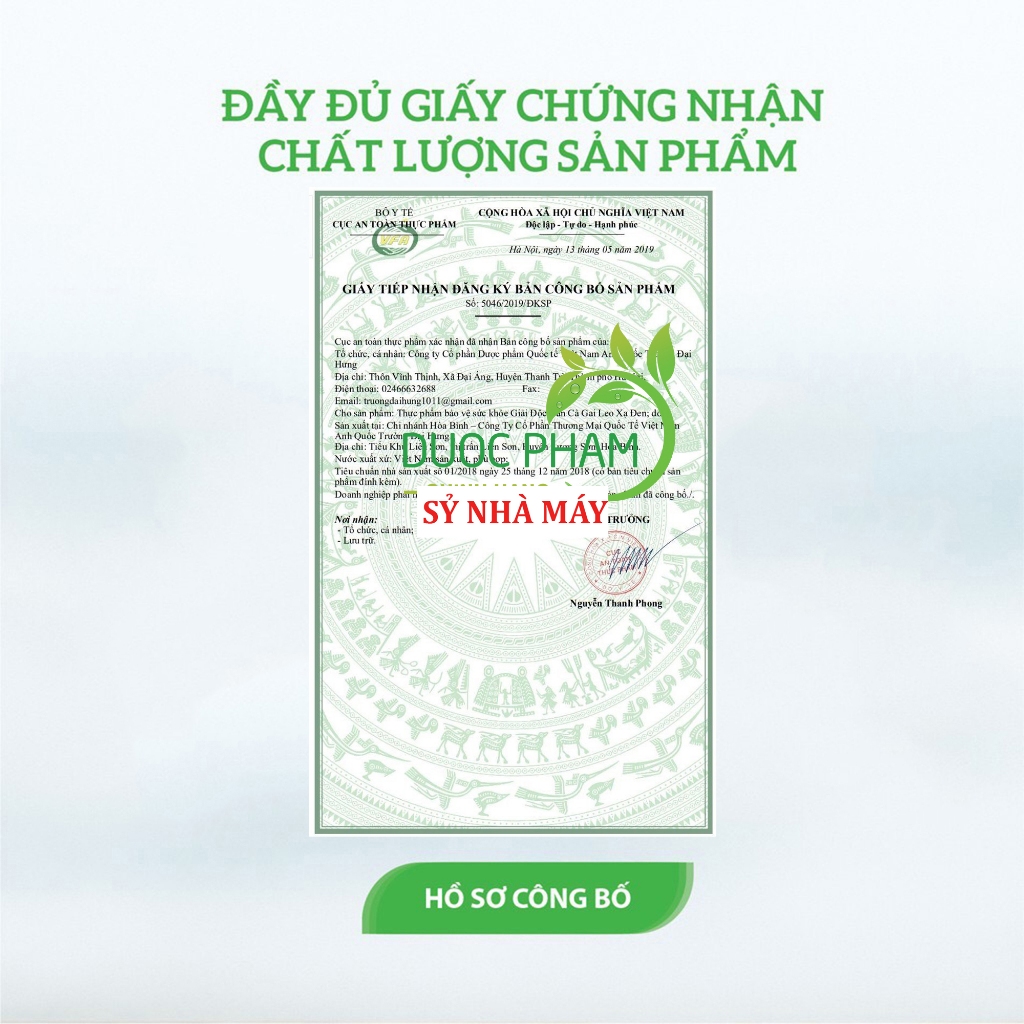 Viên uống Cà gai leo xạ đen giải độc gan, bổ gan, hạ men gan, tăng cường chức năng gan, bảo vệ gan