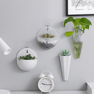  Chậu nhựa trồng cây treo tường - TẶNG MÓC TREO 