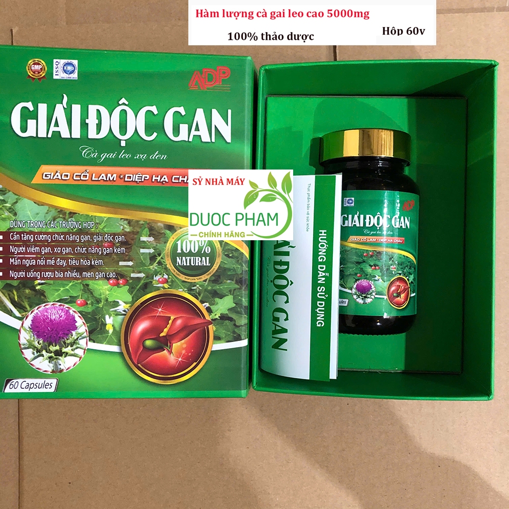 Giải độc gan CÀ GAI LEO XẠ ĐEN giảo cổ lam diệp hạ châu tăng cường chức năng gan, giúp mát gan, hạ men gan, giảm mụn