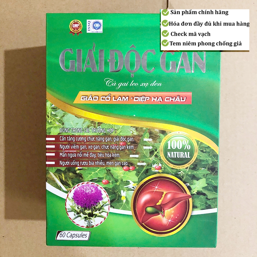 Giải độc gan CÀ GAI LEO XẠ ĐEN giảo cổ lam diệp hạ châu tăng cường chức năng gan, giúp mát gan, hạ men gan, giảm mụn