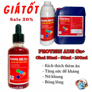 PROTEIN ADE - Nuôi gà tơ, nở khung, lên cân, bóng lông