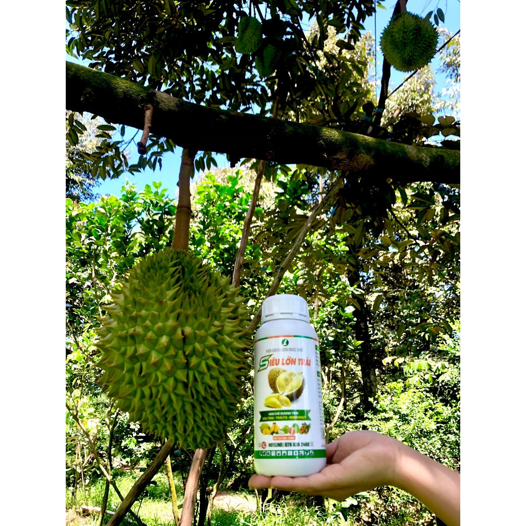 SIÊU LỚN TRÁI (SẦU RIÊNG)- 500ML