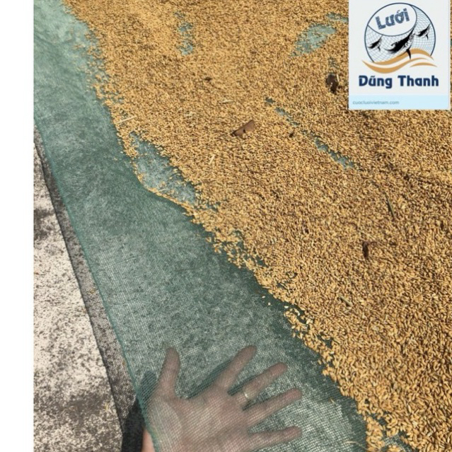 Lưới phơi thóc - nông sản, lưới phơi lúa, phơi cá cơm nhiều kích thước