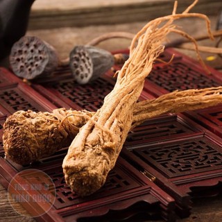 Sâm Đương Quy 100g (Củ Đương Quy)