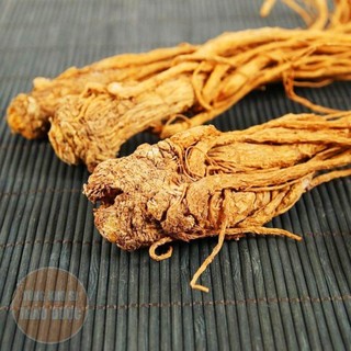 Sâm Đương Quy 100g (Củ Đương Quy)