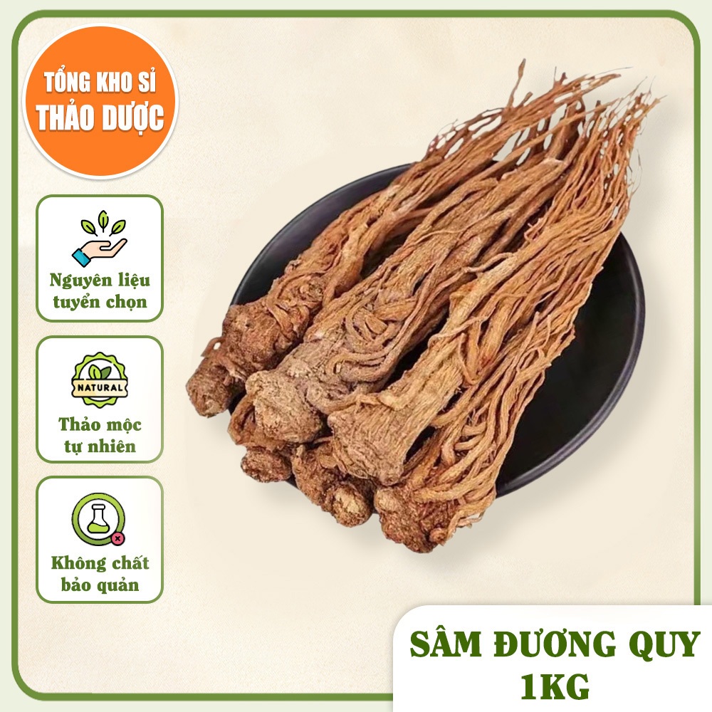 Sâm Đương Quy 1kg (Củ Đương Quy)