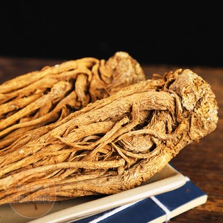 Sâm Đương Quy 1kg (Củ Đương Quy)