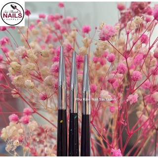 Bộ cọ tóc 3 cây DingXi cán đen   Nail