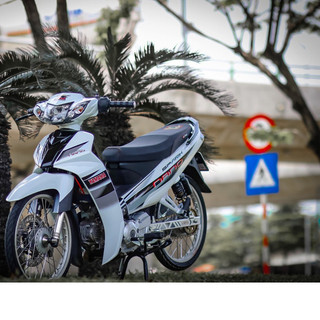 Tem rời Sirius nano trắng đen
