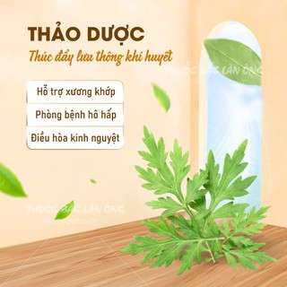 Bột ngải cứu 100g, nguyên chất, ngâm chân, xông giải cảm - Lãn Ông