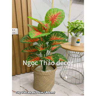 cây trầu bà đỏ giữa cao 70cm, cây giả trang trí, cây giả decor