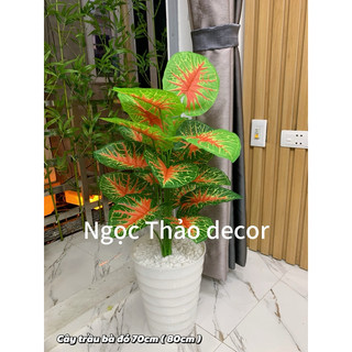 cây trầu bà đỏ giữa cao 70cm, cây giả trang trí, cây giả decor