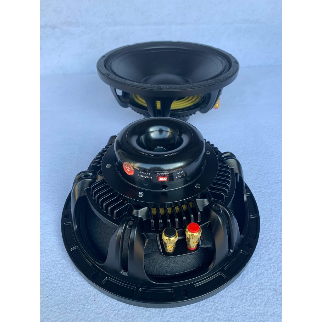 LOA BASS 25 NR NEO KHỐI 100 CÔN 76 DÂY DẸT - HÀNG CHÍNH HÃNG - GIÁ HAI LOA