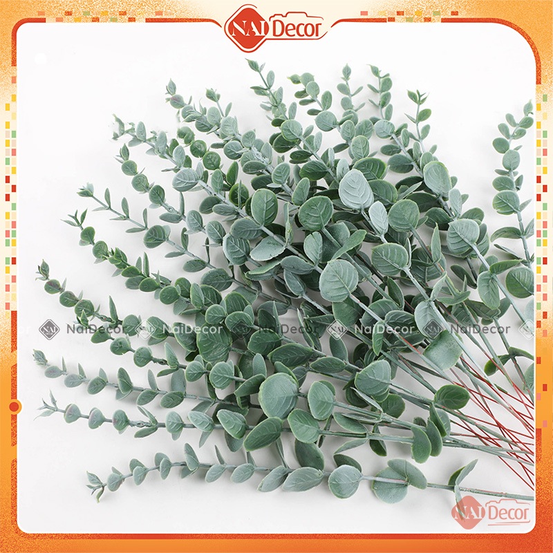 Bó Lá Đồng Tiền (5-20 Nhánh), Bó Lá Bạch Đàn, Lá Khuynh Diệp Nai Decor Phụ Kiện Trang Trí, Trưng Bày