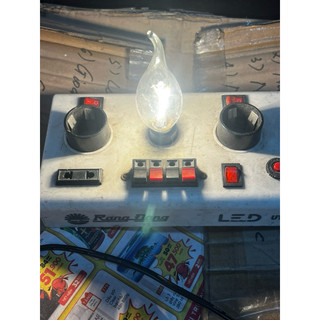 Bóng đèn LED nến dây tóc Rạng Đông 2,5W