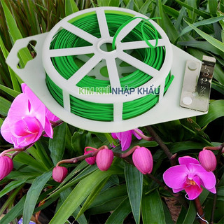 Cuộn dây buộc hoa lan lõi kẽm dài 50m - D51