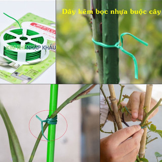 Cuộn dây buộc hoa lan lõi kẽm dài 50m - D51