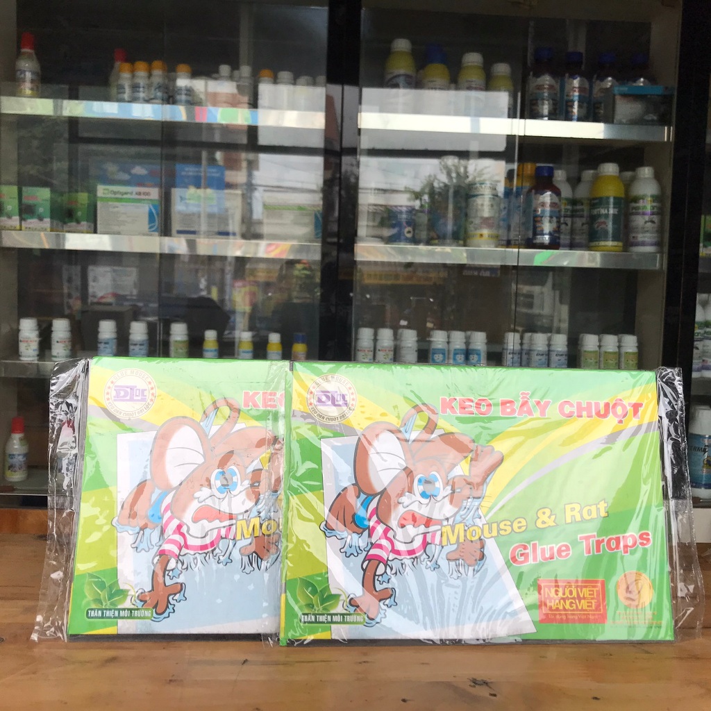 keo dính chuột giấy