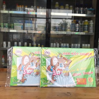 keo dính chuột giấy