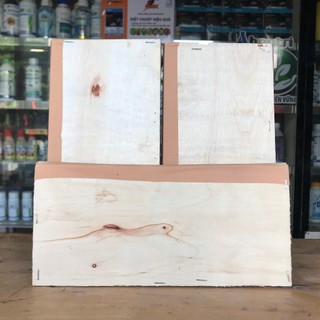 Keo dính chuột gỗ