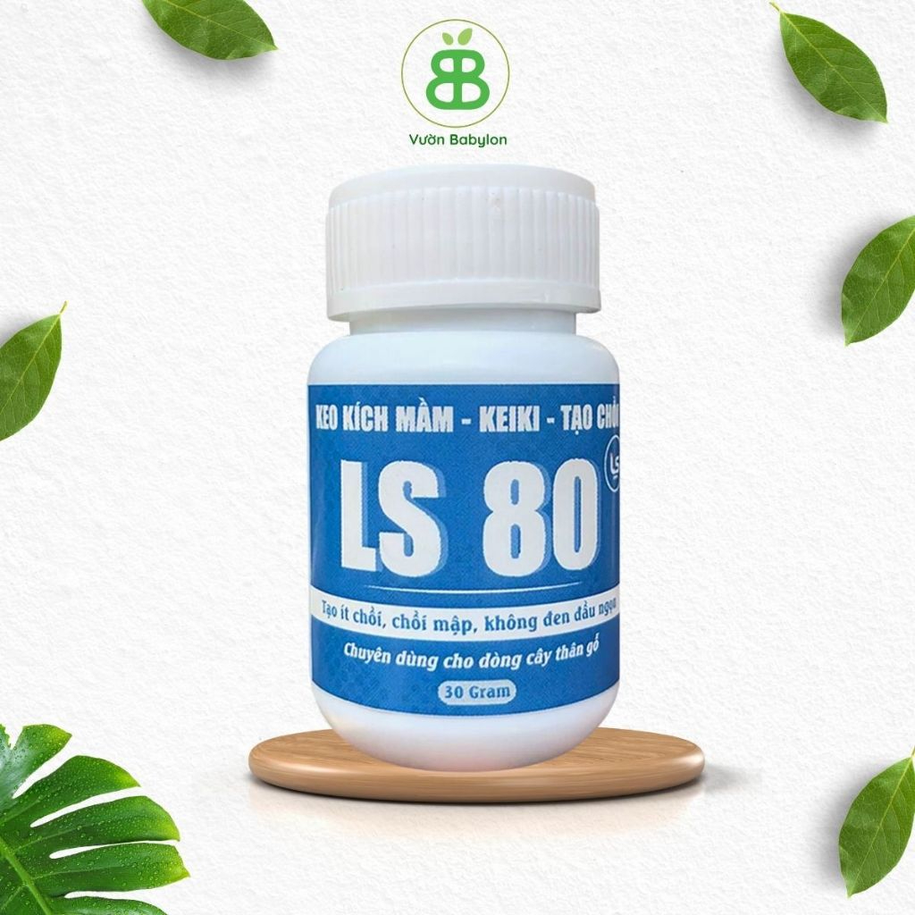 Keo Kích Mầm, Kích Chồi LS80, Bôi Ở Đâu Ra Chồi Ở Đó, Keo LS 80 tạo chồi không suy cây, không đen ch
