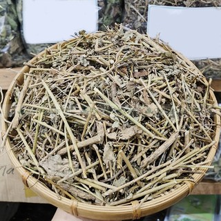 Cà gai leo khô 500g, trà cà gai leo thanh nhiệt, mát gan, giải độc, tốt cho sức khỏe