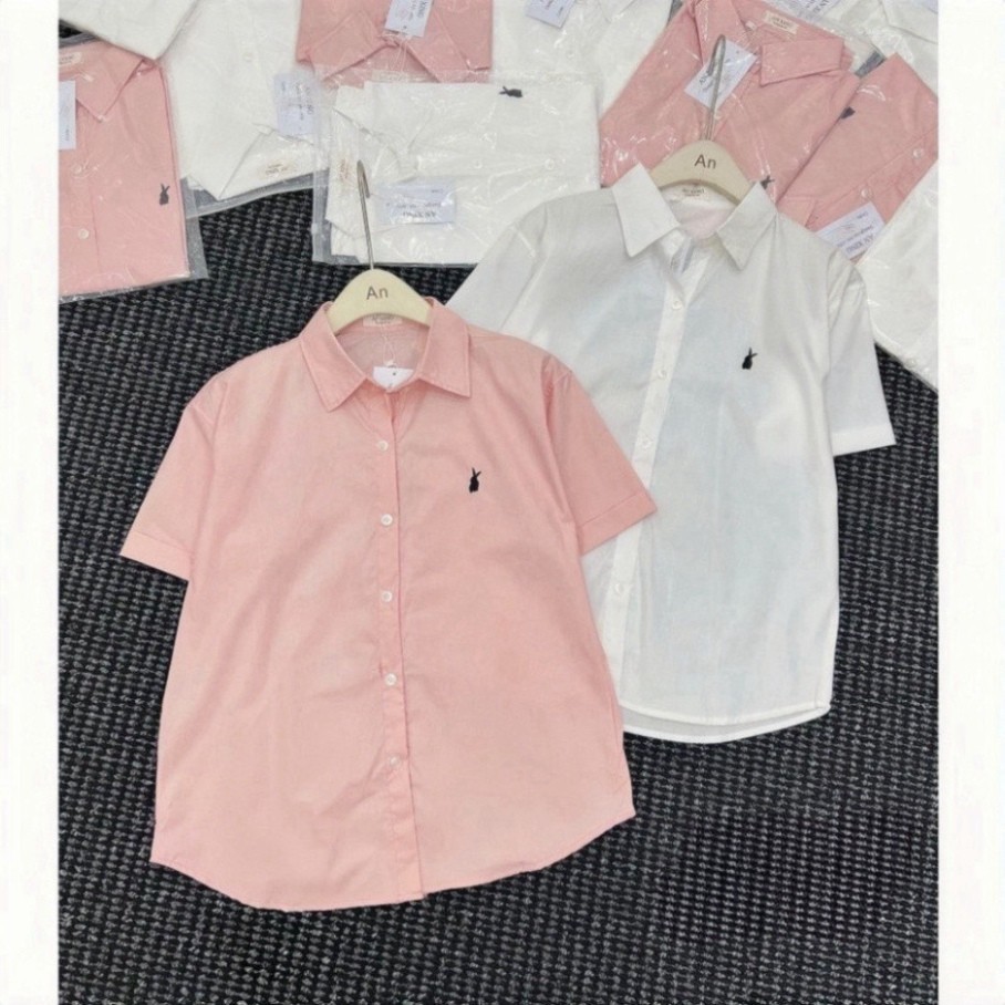 Áo sơ mi nữ cộc tay thêu thỏ, Áo sơ mi ngắn tay siêu xinh | BigBuy360 - bigbuy360.vn