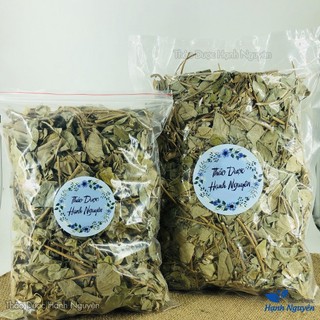Kim tiền thảo khô 100g, hỗ trợ sỏi thận, sỏi mật, giảm tiểu rắt, lợi tiểu, tốt cho đường tiết niệu