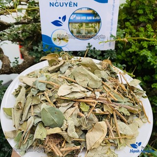 Kim tiền thảo khô 100g, hỗ trợ sỏi thận, sỏi mật, giảm tiểu rắt, lợi tiểu, tốt cho đường tiết niệu