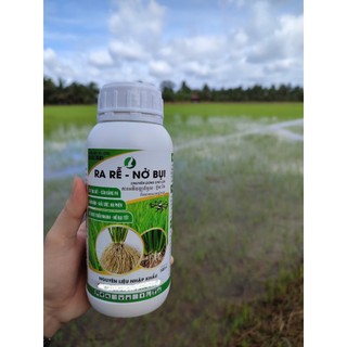 Phân bón cho lúa, ra rễ nở bụi lúa 500ML