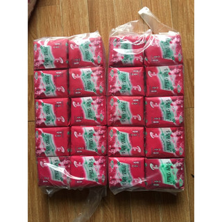 Bịch 10 gói băng vệ sinh Việt Thái( có cánh ) Tampon