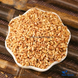 Bá Tử Nhân 100g, Trắc Bách Diệp nguyên chất dùng pha trà, hỗ trợ thư giãn, cải thiện giấc ngủ