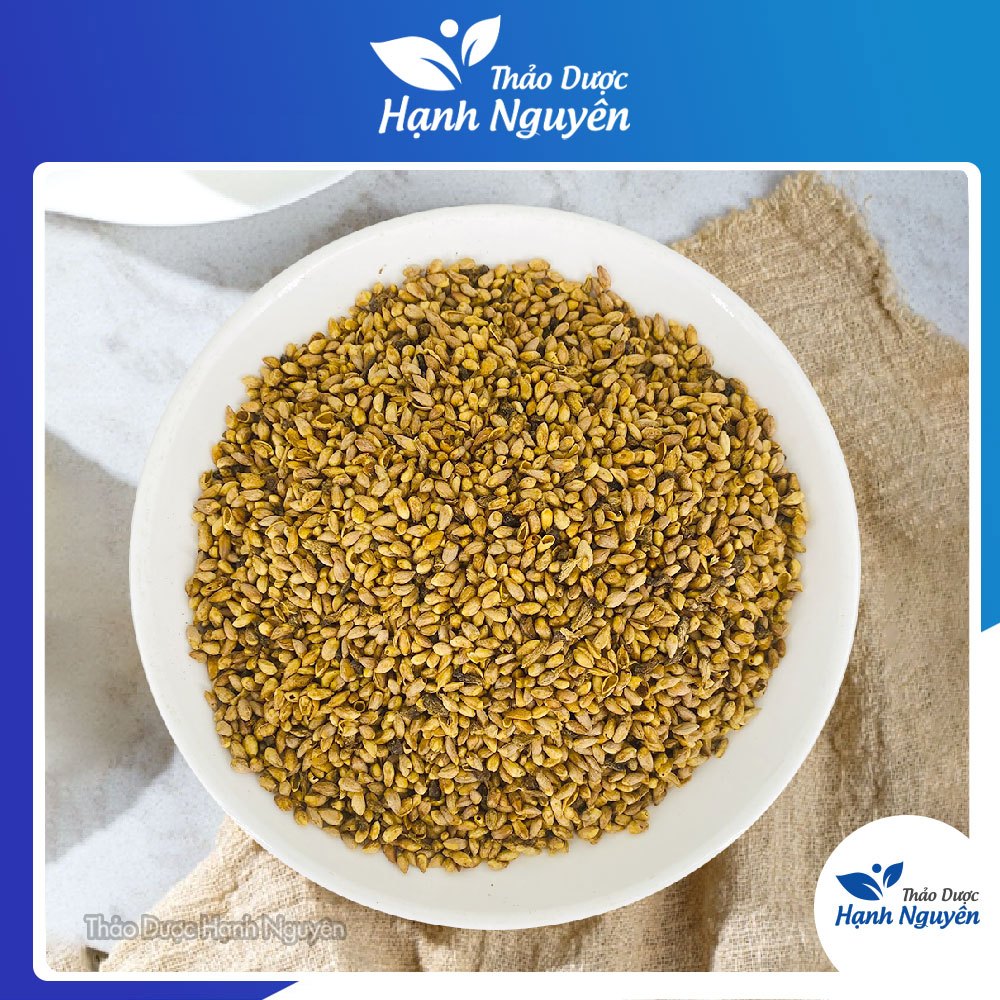 Bá Tử Nhân 100g, Trắc Bách Diệp nguyên chất dùng pha trà, hỗ trợ thư giãn, cải thiện giấc ngủ