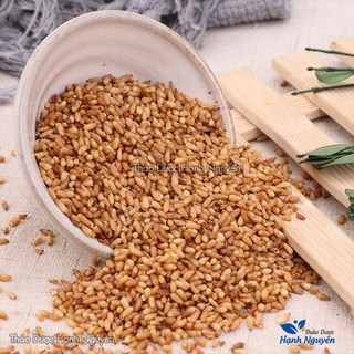 Bá Tử Nhân 100g, Trắc Bách Diệp nguyên chất dùng pha trà, hỗ trợ thư giãn, cải thiện giấc ngủ