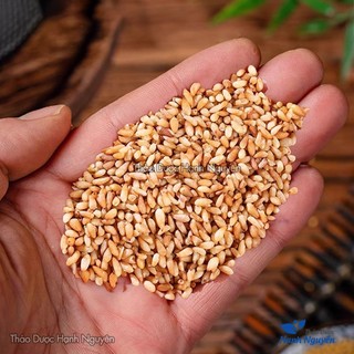 Bá Tử Nhân 100g, Trắc Bách Diệp nguyên chất dùng pha trà, hỗ trợ thư giãn, cải thiện giấc ngủ