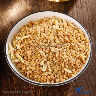 Bá Tử Nhân 100g, Trắc Bách Diệp nguyên chất dùng pha trà, hỗ trợ thư giãn, cải thiện giấc ngủ