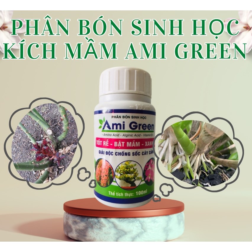 PHÂN BÓN DƯỠNG LAN AMI GREEN 100ML