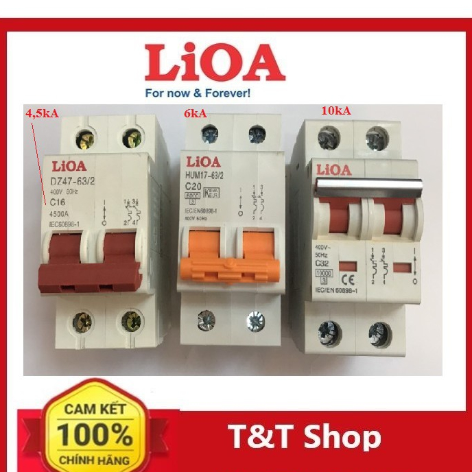 Cầu dao tự động (Aptomat) 2 cực 6A-40A