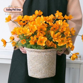  Hoa sao nháy, Hoa cánh bướm giả, trang trí nhà cửa, decor tiệm trà, hoa màu cam