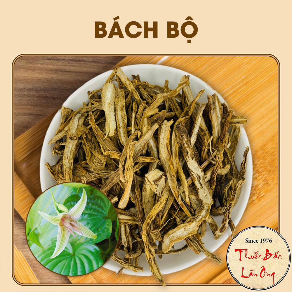 Bách Bộ 100g