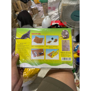 Keo dán chuột đại phát 1 miếng