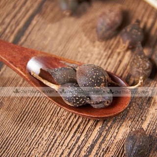 Liên kiều 1kg, qủa liên kiều, hạ liên tử, khô, thơm, sạch - Chợ Thảo Dược Việt