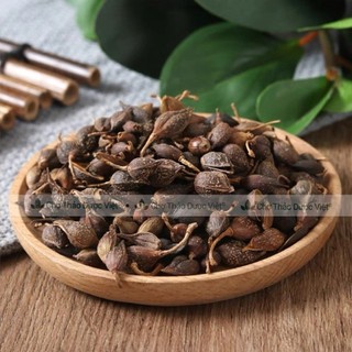 Liên kiều 100g, quả liên kiều, hạ liên tử, khô, thơm, sạch - Chợ Thảo Dược Việt