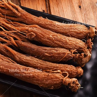 Nhị hồng sâm khô 100g, sâm râu, không tẩm đường, giúp bổ máu, tăng cường sức khoẻ, ngừa ung thư
