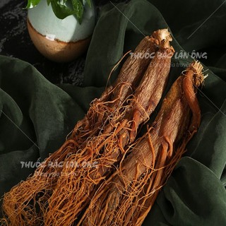 Nhị hồng sâm khô 100g, sâm râu, không tẩm đường, giúp bổ máu, tăng cường sức khoẻ, ngừa ung thư
