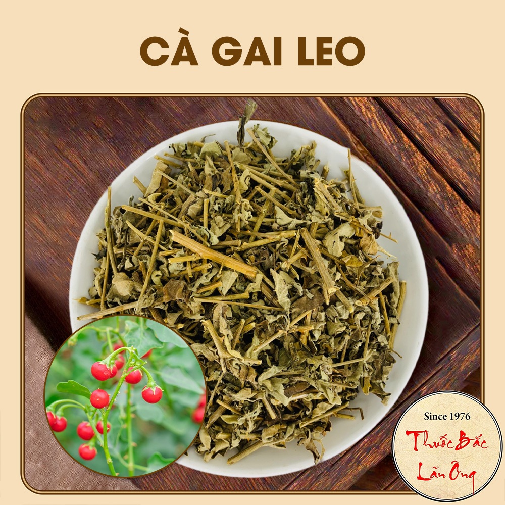 Cà gai leo 1kg, khô, sạch, hỗ trợ giải độc, hạ men gan, mát gan, thanh nhiệt, giảm mụn nhọt